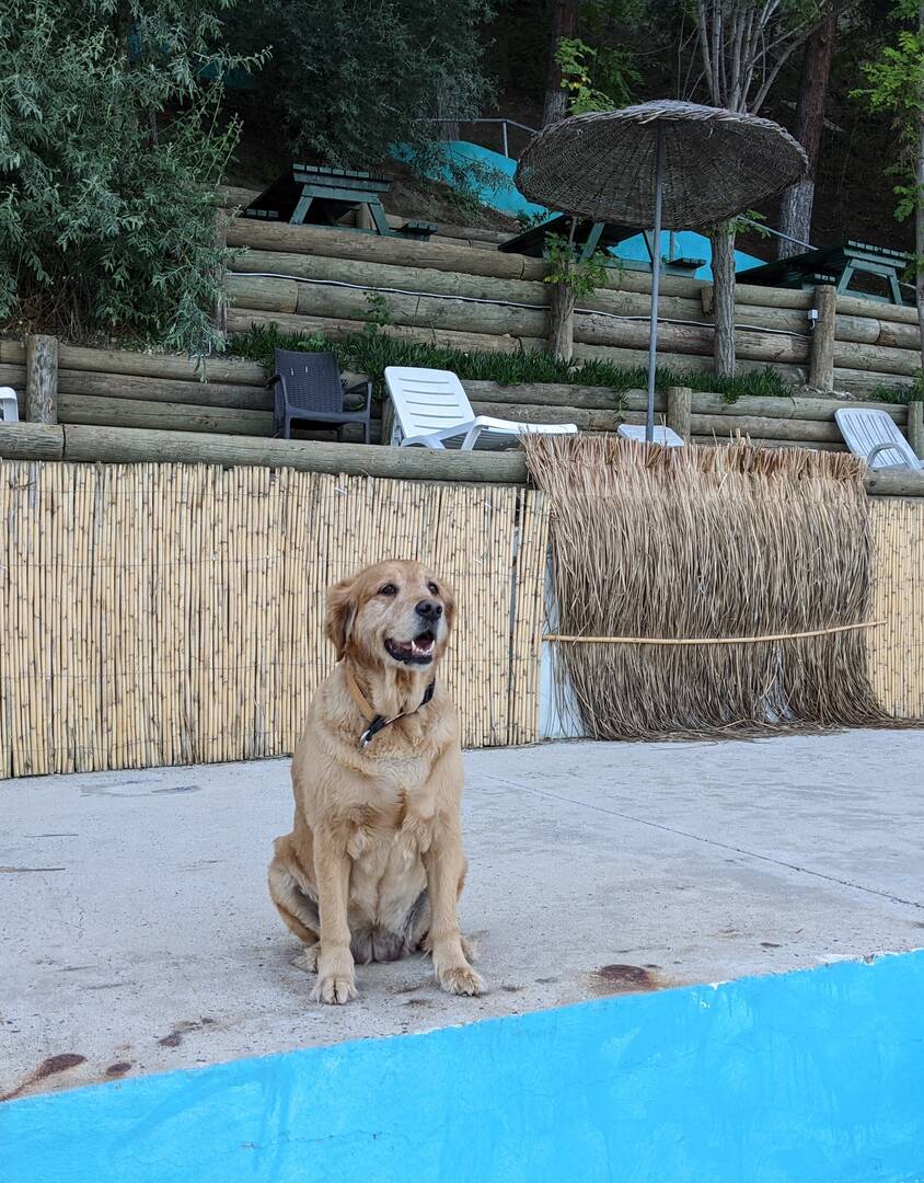 Video poster: Otis, 10 — the afternoon spot (placeholder)